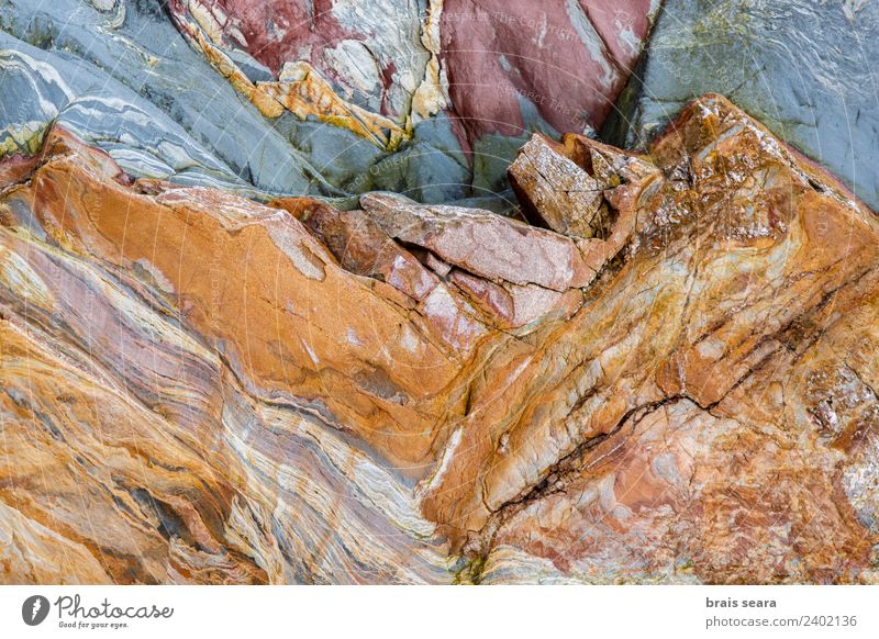 Sedimentary rocks texture Beach Ocean Science & Research Geology Geologist Environment Nature Landscape Elements Earth Coast Tourist Attraction Blue Yellow Red