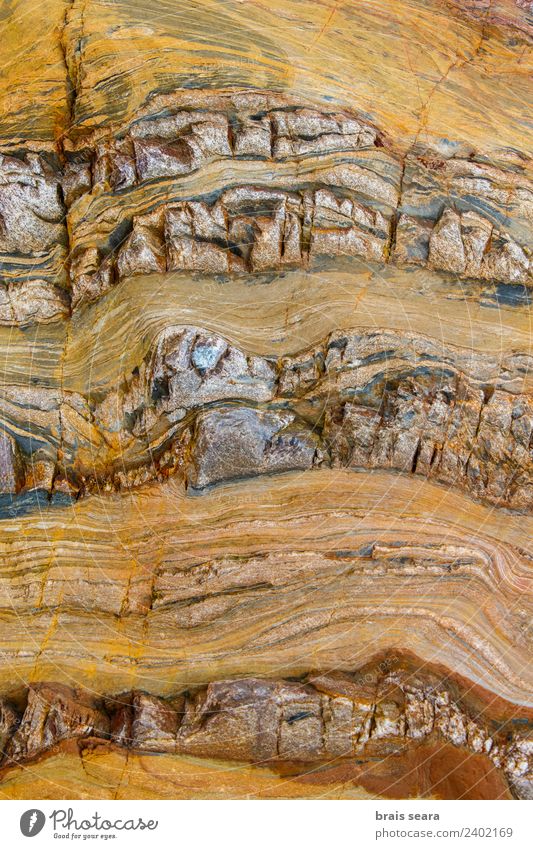 Sedimentary rocks texture Beach Ocean Science & Research Geography Geology Geologist Environment Nature Earth Coast Tourist Attraction Stone Yellow Colour Art