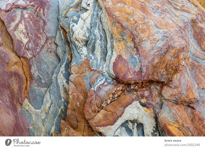 Sedimentary rocks texture Beach Ocean Education Science & Research Geology Profession Geologist Environment Nature Earth Coast Tourist Attraction Stone Natural