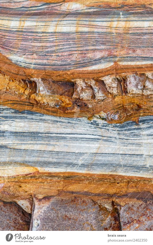 Sedimentary rocks texture Beach Ocean Education Science & Research Geology Profession Geologist Environment Nature Earth Coast Tourist Attraction Stone Natural