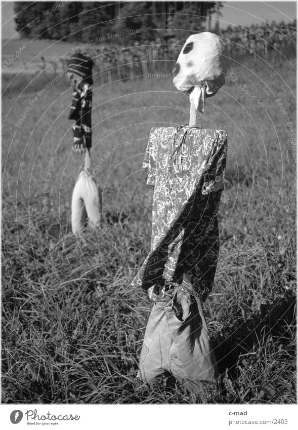 Scarecrows I Rural Meadow Obscure Landscape Nature Black & white photo