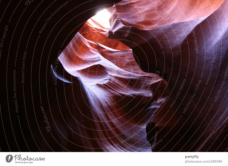Waves Environment Nature Landscape Elements Antelope Canyon Exceptional Fantastic Moody Colour photo Exterior shot Abstract Structures and shapes Day Light