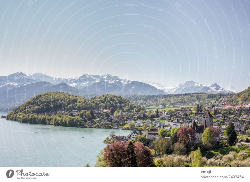 Spiez on Lake Thun Environment Nature Landscape Sky Cloudless sky Spring Summer Beautiful weather Mountain Small Town Castle Tourist Attraction Tourism