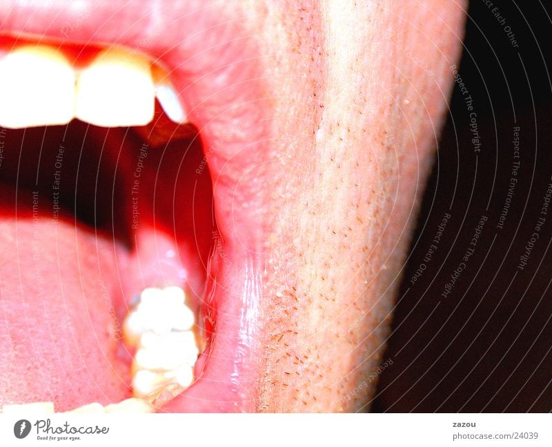 Shout! Lips Macro (Extreme close-up) Close-up Mouth Tongue Face Human being Teeth