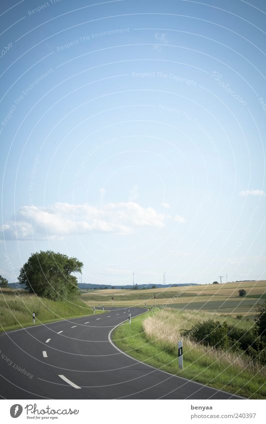 along the road Landscape Sky Summer Field Transport Traffic infrastructure Street Lanes & trails Nature Vacation & Travel Environment Curve Colour photo