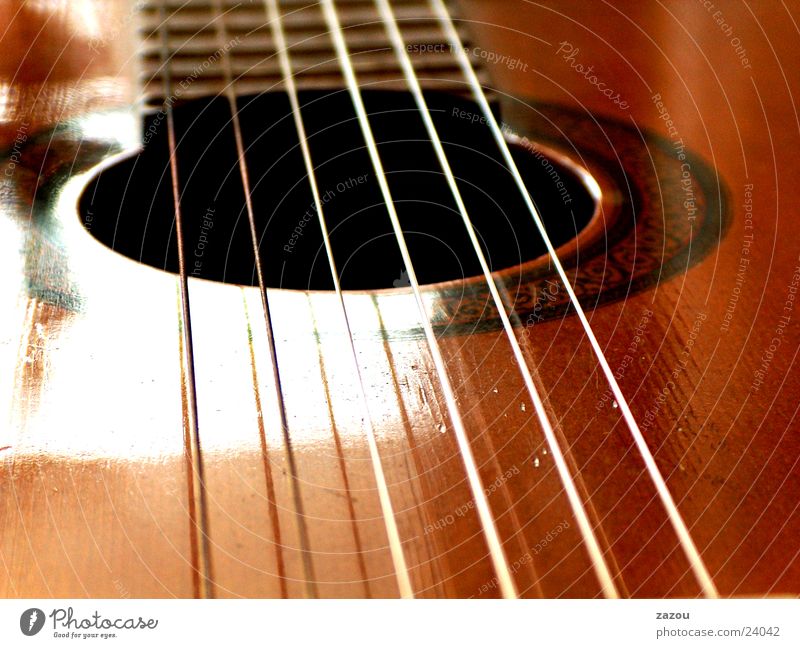 play my guitar again Musical instrument string Spanish guitar Leisure and hobbies Guitar Macro (Extreme close-up)
