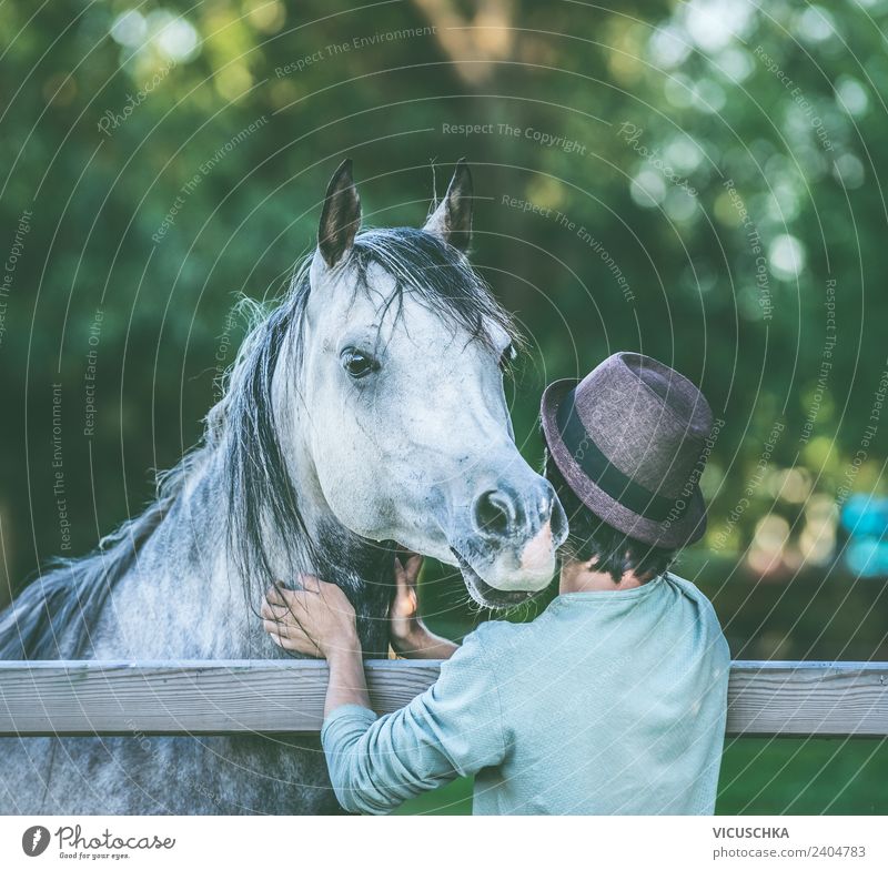 Young man with his horse Design Summer Human being Youth (Young adults) Nature Animal Horse Love Emotions Man Colour photo Exterior shot Copy Space top Day
