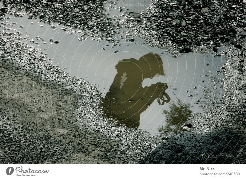 profile 1 Human being Observe Puddle Street Pavement Wet Asphalt Reflection Stand Gray Exterior shot Shadow Silhouette Water reflection Head Upper body