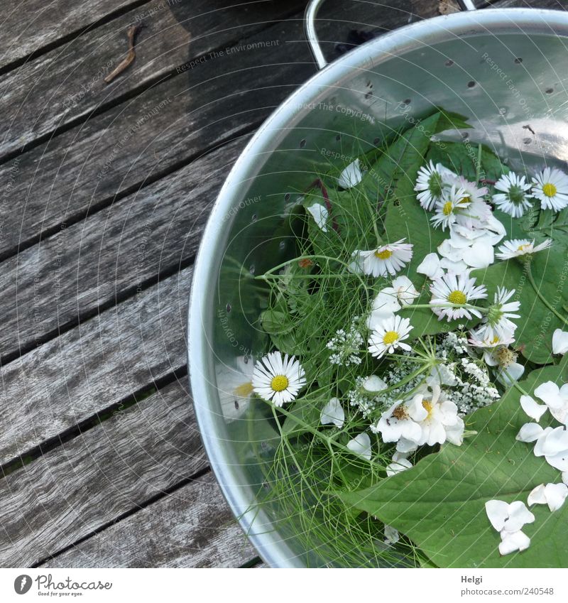 fresh herbs and flowers in a metal bowl on a wooden table Food Lettuce Salad Herbs and spices Nutrition Organic produce Vegetarian diet Bowl Sieve Plant Spring
