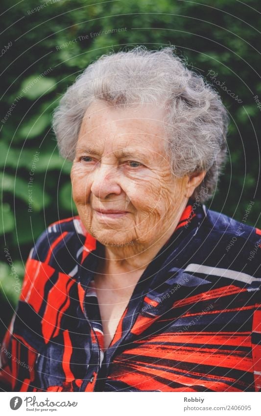 Grandmother III Feminine Woman Adults Female senior Grandparents Senior citizen Life 1 Human being 60 years and older Old Authentic Society Healthy Identity