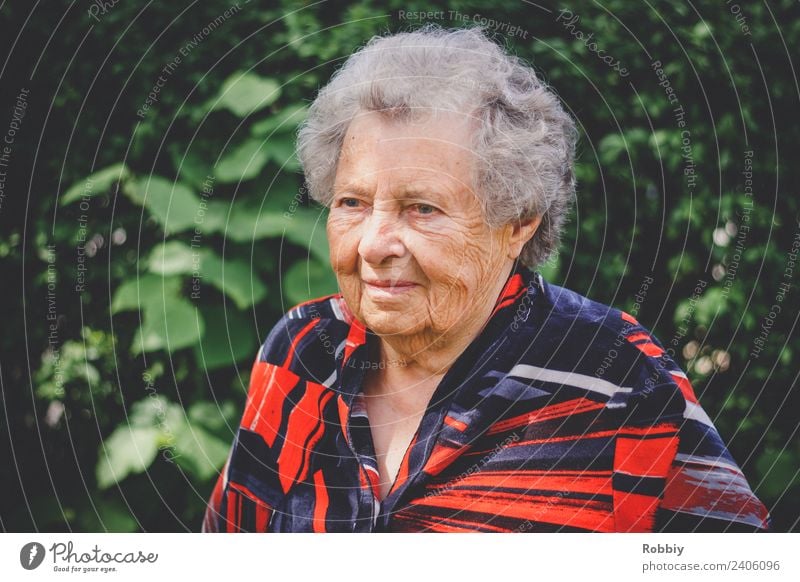 Grandmother IV Feminine Woman Adults Female senior Grandparents Senior citizen Life 1 Human being 60 years and older Old Authentic Society Healthy Identity