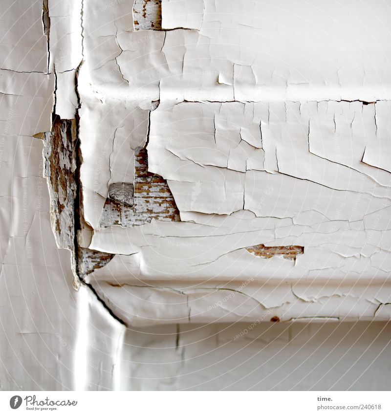 paint damage Door Varnish Wood Old Sharp-edged Broken Gloomy Brown White Nostalgia Feeble Decline Transience Crack & Rip & Tear Derelict Flake off Abrasion