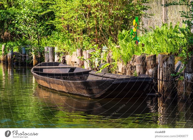 Wooden barge in the Spreewald near Lübbenau Relaxation Vacation & Travel Tourism Nature Water Tree River Watercraft Old Historic Green Romance Idyll Tradition