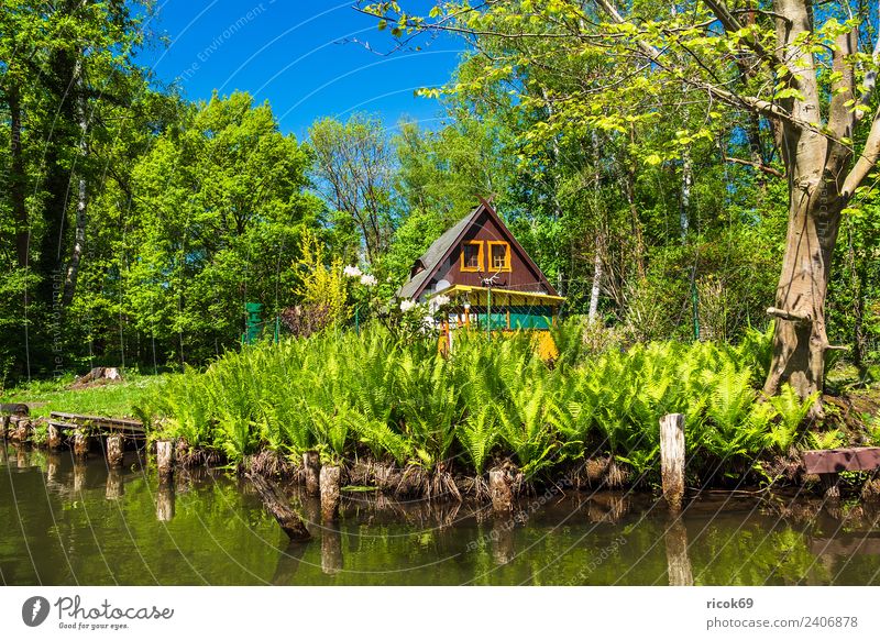 Building in the Spreewald near Lehde Vacation & Travel Tourism House (Residential Structure) Nature Landscape Water Tree Forest River Tourist Attraction Old