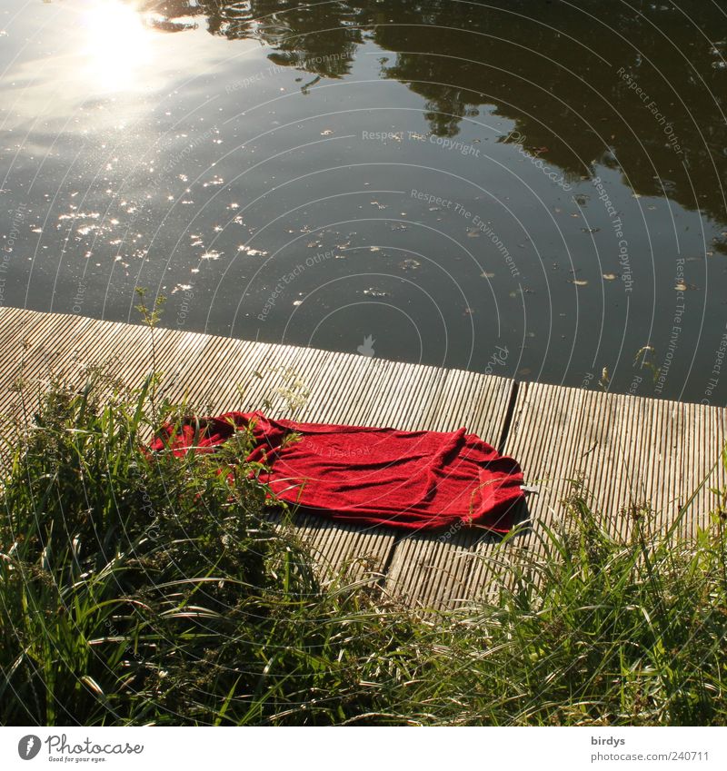 forsake sb./sth. Swimming & Bathing Summer Lakeside Authentic Natural Red Romance Loneliness Relaxation Leisure and hobbies Nature Red rag red towel Berth