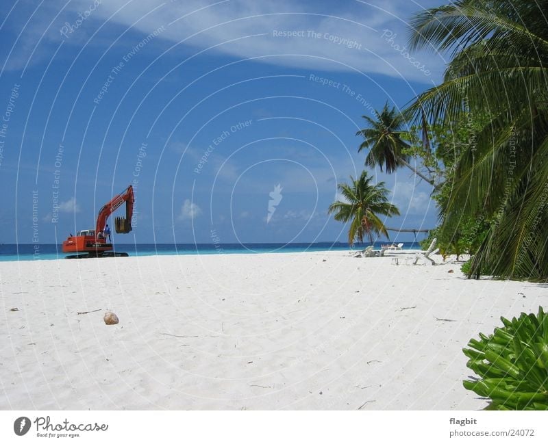 Work in Paradise Beach Excavator Palm tree Ocean Vacation & Travel Work and employment Sand