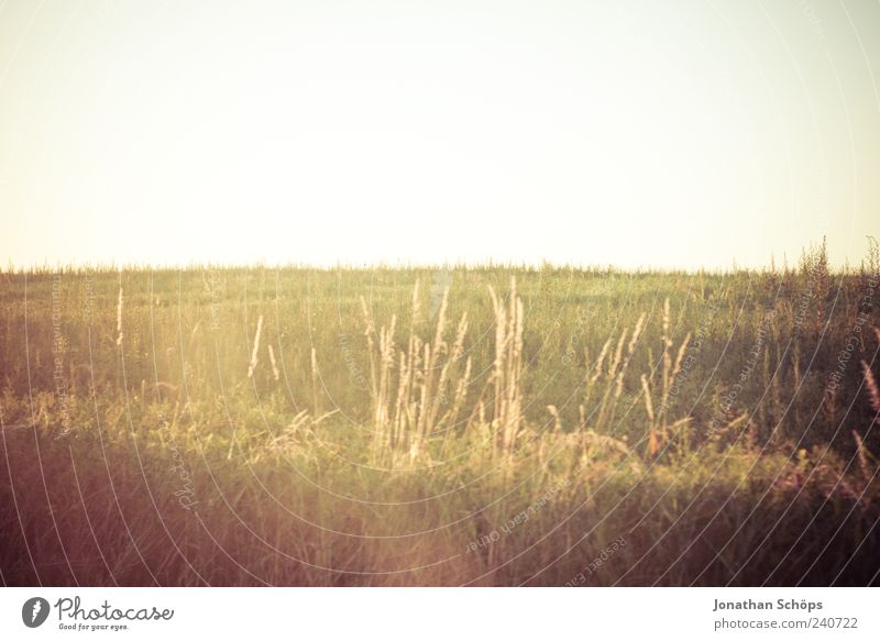 evening mood Environment Nature Landscape Sky Cloudless sky Climate Weather Beautiful weather Meadow Field Thuringia Observe To enjoy Infinity Emotions Moody