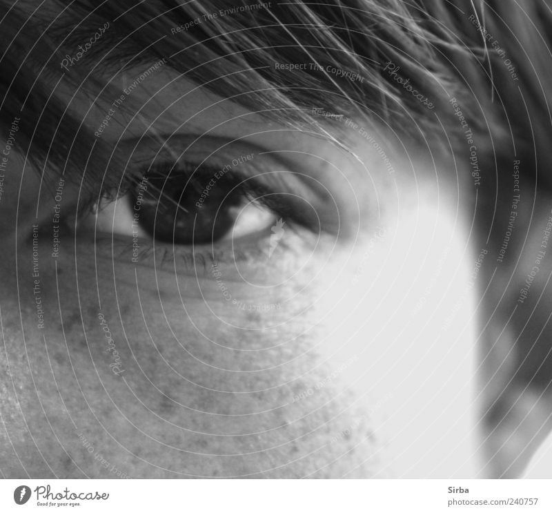 STURY STRAIGHT OUT Human being Eyes Beautiful Gray Black White Calm Black & white photo Looking into the camera Forward Section of image Detail of face