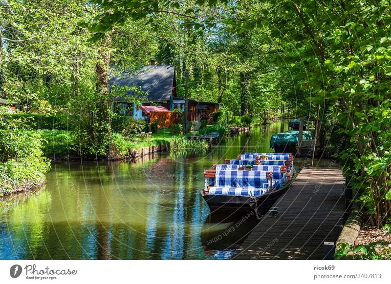 Boat in the Spreewald in Lehde Relaxation Vacation & Travel Tourism House (Residential Structure) Nature Landscape Water Spring Tree Forest River Village