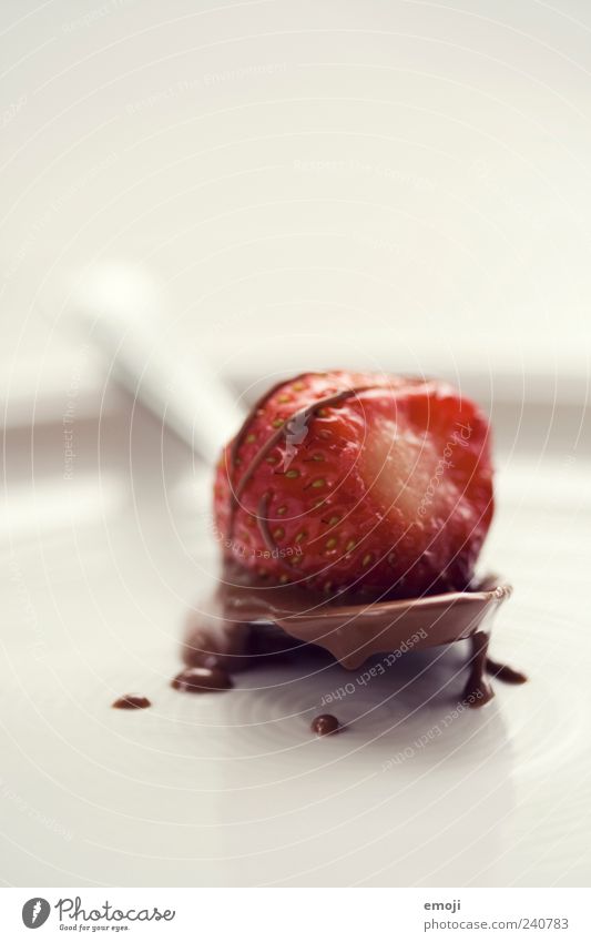 chocolate berry Fruit Dessert Plate Spoon Delicious White Chocolate Strawberry Calorie Sweet Colour photo Interior shot Studio shot Close-up Deserted