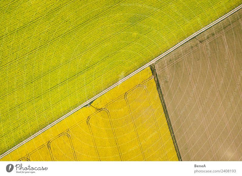 Yellow rape fields, fields and field paths from above Grain Cycling tour Summer Gardening Agriculture Forestry Energy industry Nature Landscape Plant