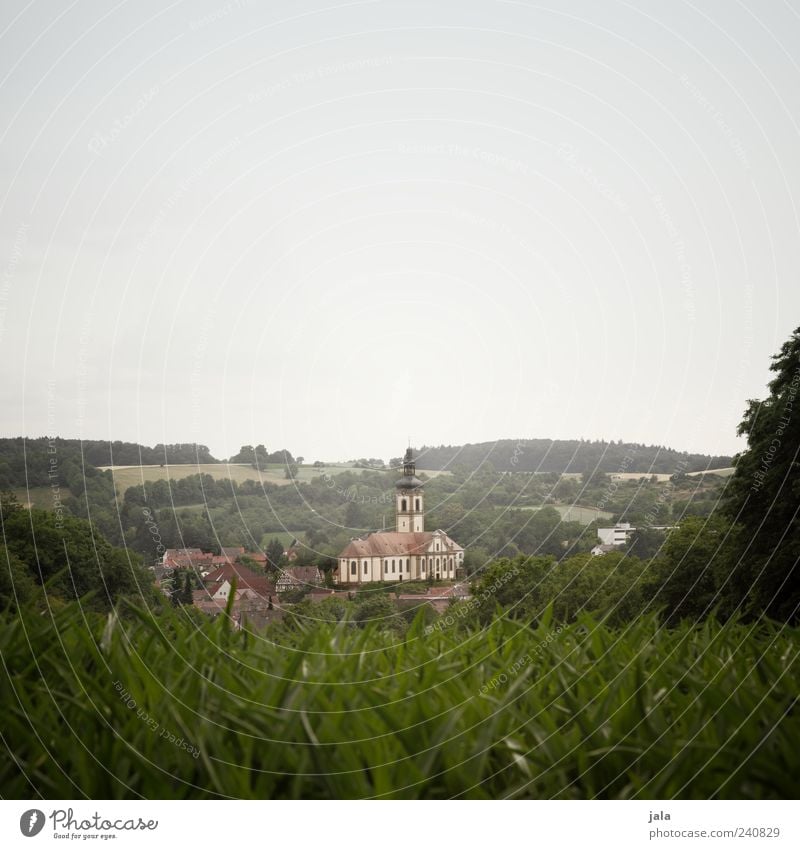 prospect Nature Landscape Sky Cloudless sky Plant Tree Grass Bushes Field Forest Village House (Residential Structure) Church Manmade structures Building