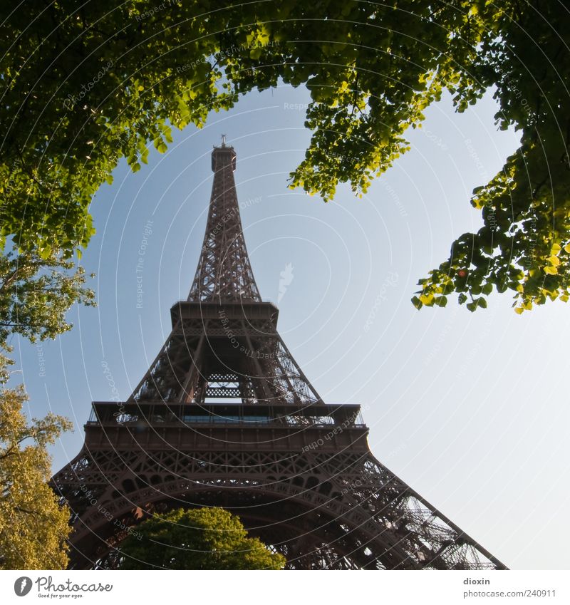 architecture Vacation & Travel Tourism Sightseeing City trip Plant Tree Leaf Paris France Europe Capital city Tower Manmade structures Architecture Eiffel Tower