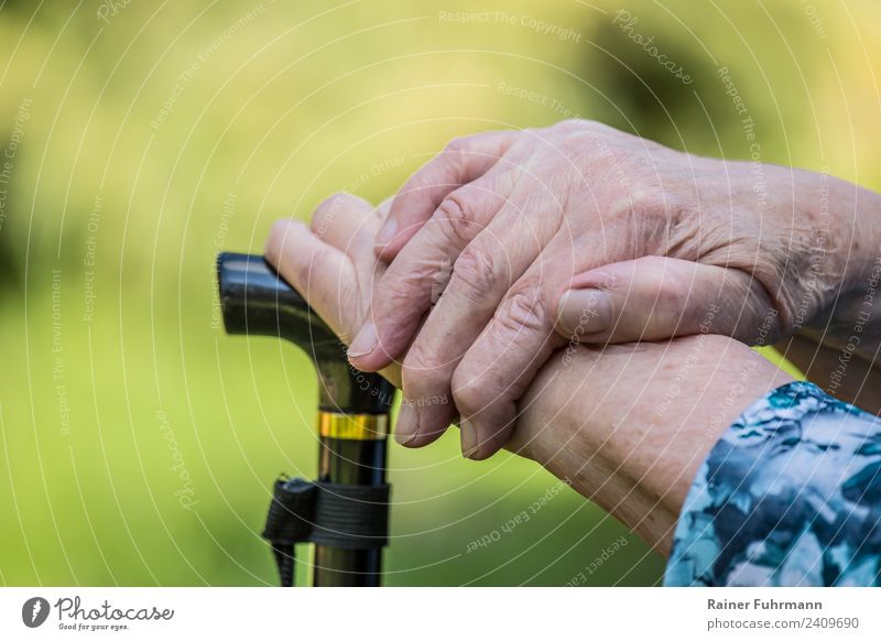 an old woman put her hands on a cane. Retirement Human being Feminine Woman Adults Female senior Mother Hand 1 Old Relaxation To console Serene Loneliness