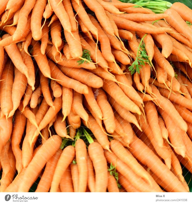 carrot day Food Vegetable Nutrition Organic produce Vegetarian diet Delicious Carrot Orange Root vegetable Harvest Farmer's market Vegetable market