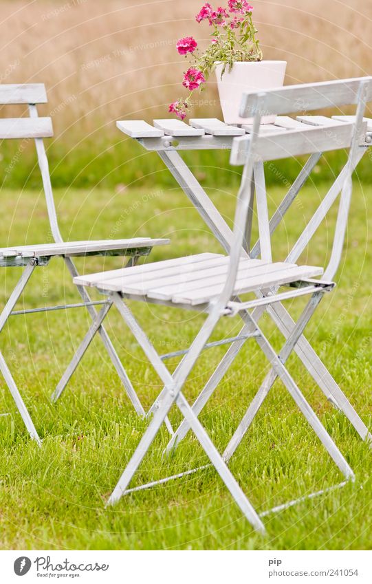 resting place Chair Table Pot plant Summer Beautiful weather Flower Garden Park Meadow Green Pink Leisure and hobbies Calm Outdoor furniture Idyll Friendliness