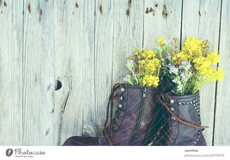 Old boots filled with flowers against wood background Nature Plant Flower Wild plant Pot plant Fashion Clothing Boots Wood Leather Esthetic Authentic Simple
