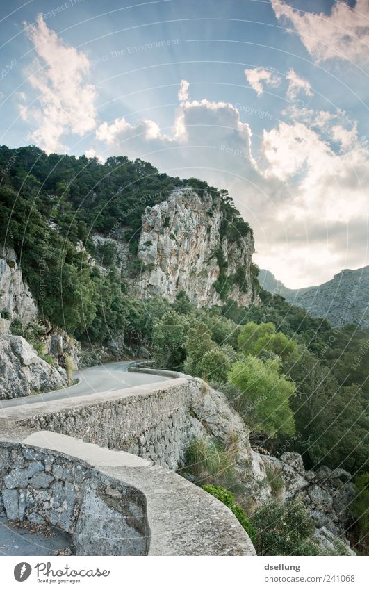 Mallorca X Nature Landscape Plant Sky Clouds Beautiful weather Tree Bushes Forest Rock Wall (barrier) Wall (building) Juicy Gray Green Street Majorca Stone