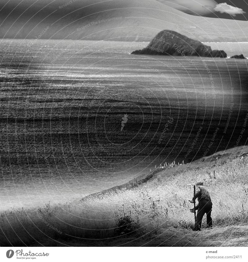 Mowing farmer by the sea Clouds Ocean Scythe Meadow Grass Work and employment Moody Cliff Water Ireland Farmer Mow the lawn Black & white photo