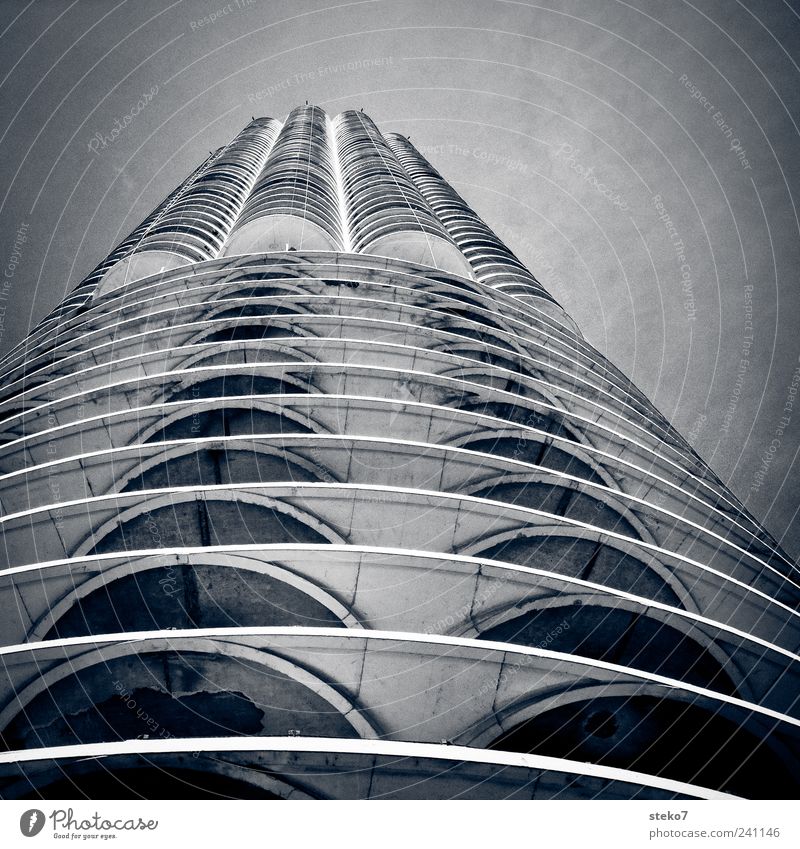 skyscraper bone High-rise Facade Tall Cold Modern Gray Chicago Concrete Round Structures and shapes Black & white photo Exterior shot Deserted Worm's-eye view