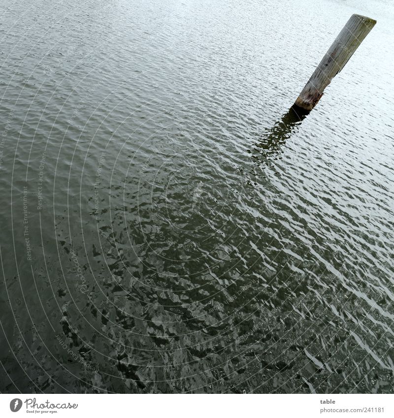 rather oblique Environment Nature Elements Water Summer Waves Ocean Lake Jetty Wooden stake Pole Stand Dark Cold Wet Gloomy Blue Gray Black Loneliness