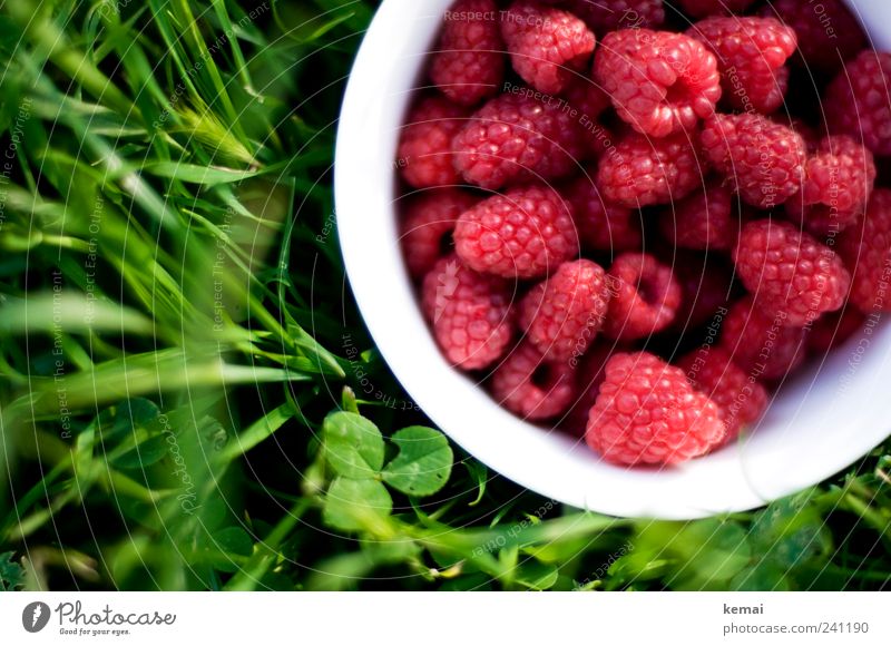 A bowl full of berries Food Fruit Raspberry Nutrition Picnic Organic produce Vegetarian diet Slow food Bowl Nature Summer Plant Grass Leaf Foliage plant