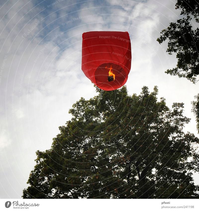 Where's the trip going? Joy Feasts & Celebrations Aviation Art Work of art Culture Event Sky Clouds Beautiful weather Tree Leaf Deserted Park Paper Balloon