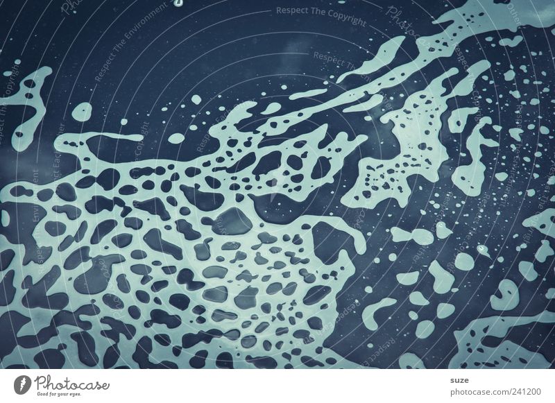 invasion Water Blue White Puddle Background picture Surface of water Organic Foam Fluid Rainwater Fantasy Colour photo Multicoloured Exterior shot Close-up