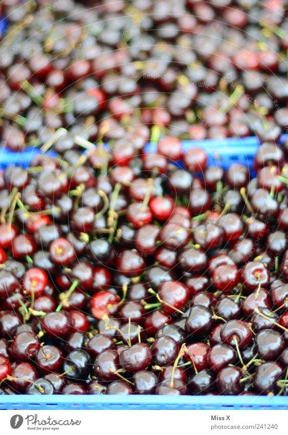 100 000 cherries Food Fruit Nutrition Organic produce Vegetarian diet Fresh Delicious Juicy Sour Sweet Red Appetite Cherry Box of fruit Farmer's market
