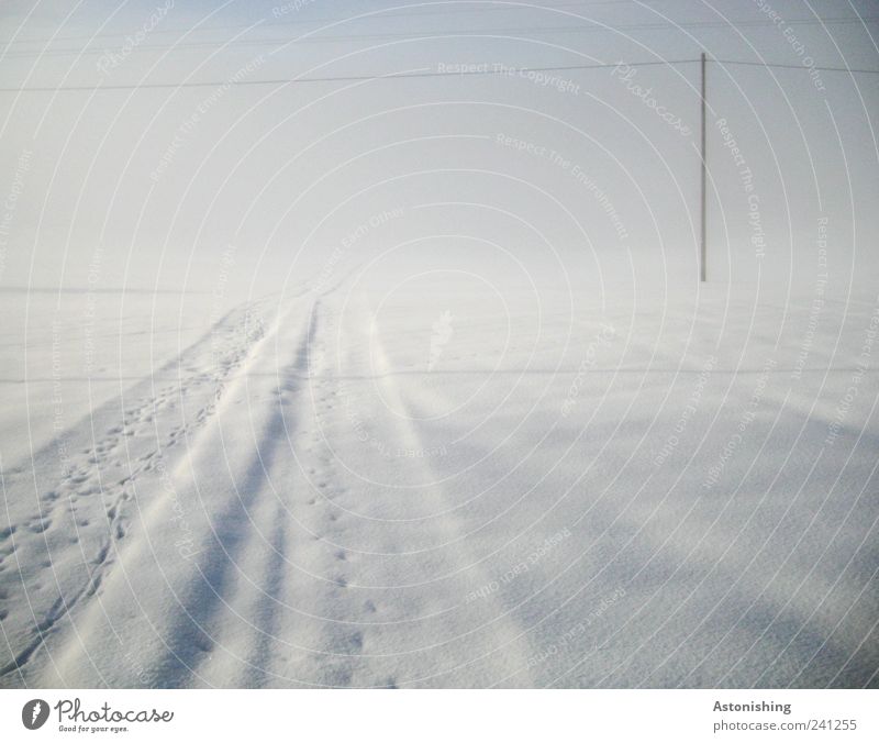 into the fog Environment Nature Sky Winter Bad weather Fog Stand Cold Electricity pylon High voltage power line Tracks Lanes & trails White Blue Ambiguous