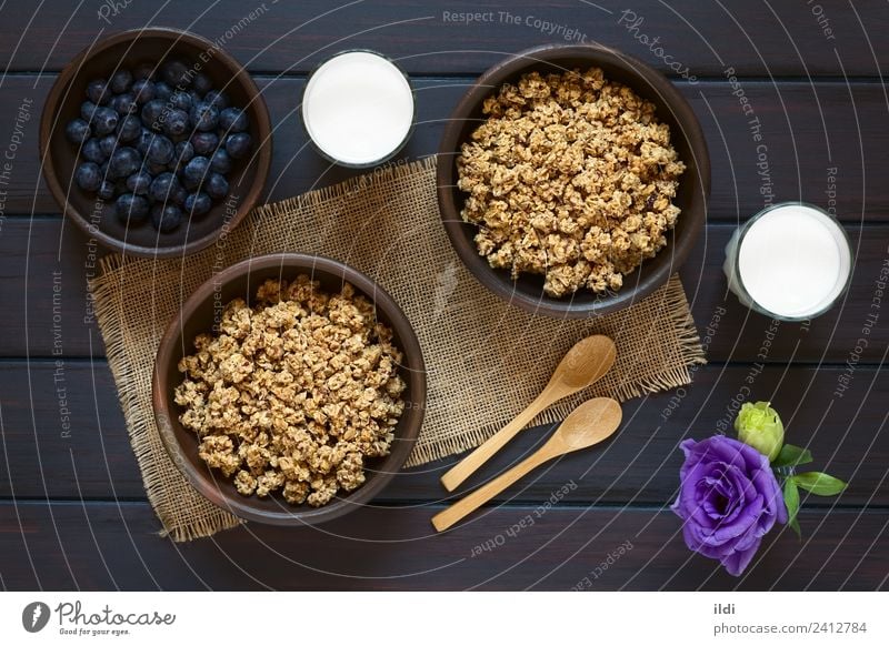 Breakfast Cereal with Blueberries and Milk Fruit Sweet food oatmeal Rolled Berries Blueberry dry sweetened healthy Meal Dish Snack glass Rustic fiber Dairy