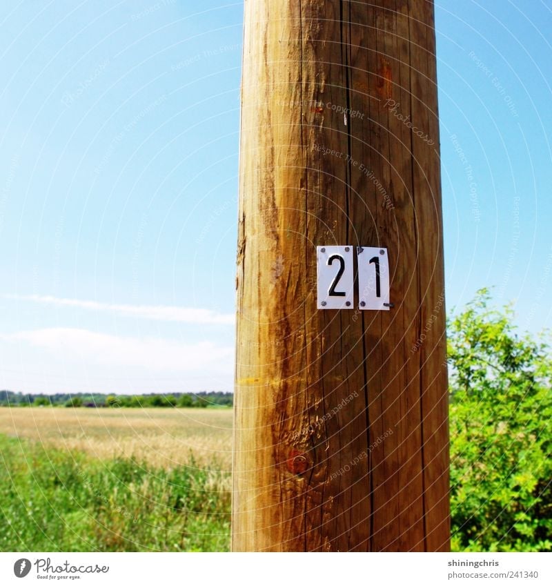21 Trip Freedom Summer Agriculture Forestry Nature Landscape Sky Beautiful weather Bushes Field Wood Digits and numbers Signs and labeling Blue Green Calm
