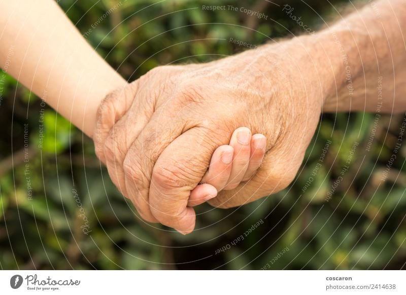 Hands of a grandfather and his grandson Lifestyle Child Boy (child) Parents Adults Grandfather Family & Relations Infancy Old Love Together Small Green Age