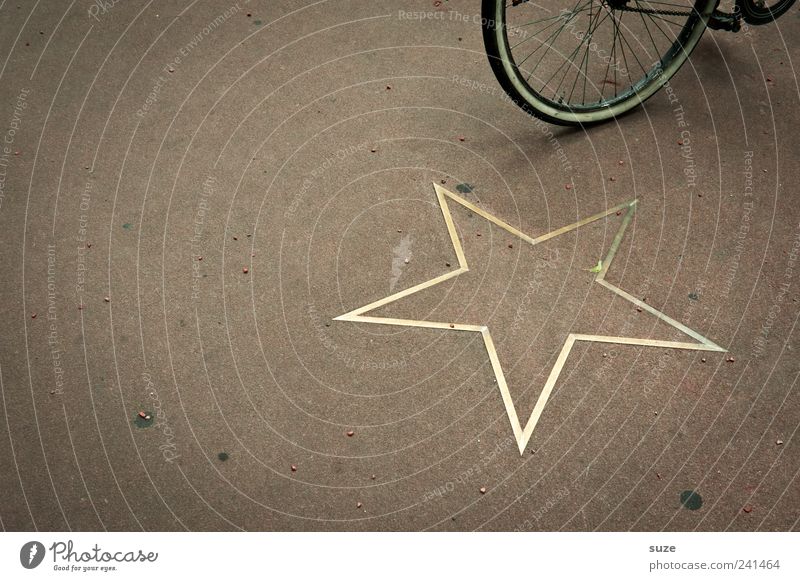 Radstar Lifestyle Style Leisure and hobbies Bicycle Gold Stand Famousness Brown Wheel Star (Symbol) Ground Hollywood Break In transit Eco-friendly Decoration