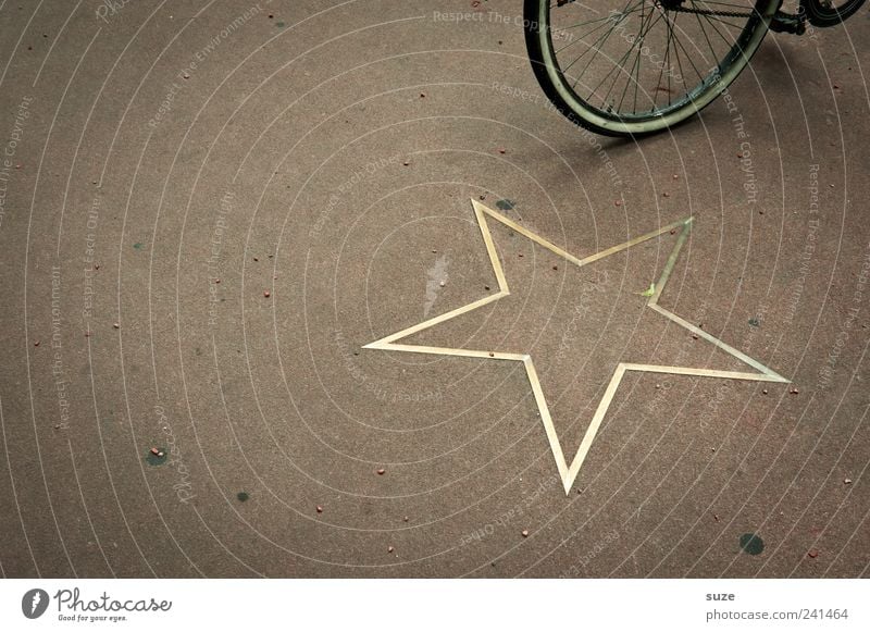 Radstar Lifestyle Style Leisure and hobbies Bicycle Gold Stand Famousness Brown Wheel Star (Symbol) Ground Hollywood Break In transit Eco-friendly Decoration