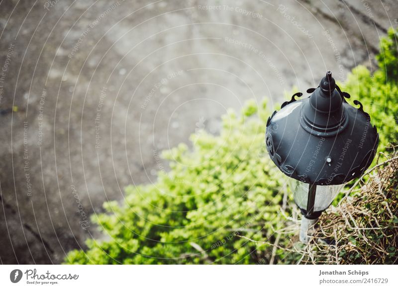 Lantern over hedge Town Esthetic Brighton Lighting Concrete Converse Green Gray Old Background picture England Plant Environmental protection Colour photo