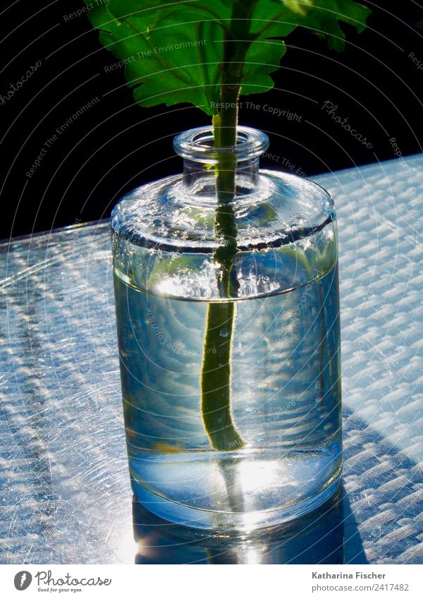 Glass vase on metal table Decoration Metal Steel Crystal Cold Maritime Blue Gray Green Turquoise White Reflection Water Flower vase Stalk Flower stalk Summery