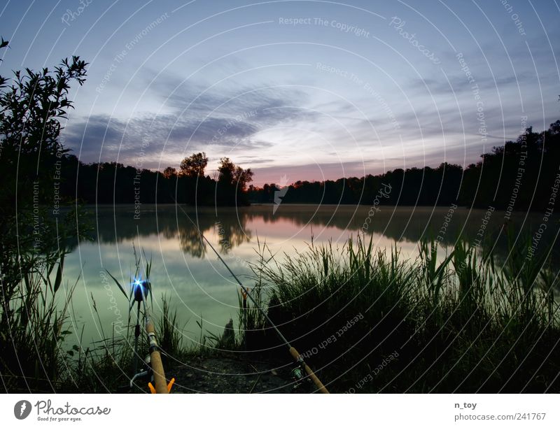 more silence Nature Landscape Water Sky Clouds Bog Marsh Pond Lake Relaxation Blue Green Calm Loneliness Fishing (Angle) Fishing rod Bavaria Dawn Angler Grass