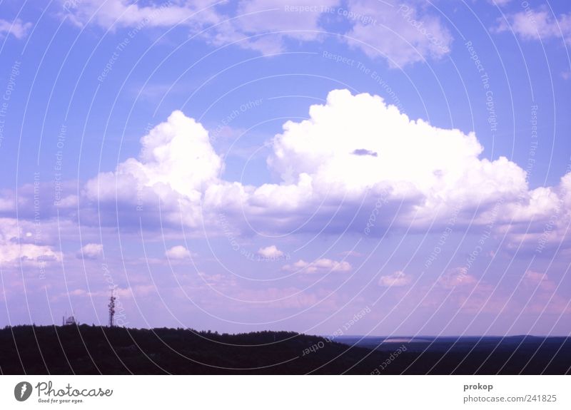 Nature and technology Environment Landscape Sky Clouds Climate Climate change Beautiful weather Forest Far-off places Horizon Telegraph pole Infinity Idyll