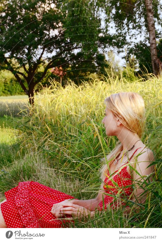 summer atmosphere Human being Feminine Young woman Youth (Young adults) 1 18 - 30 years Adults Nature Summer Beautiful weather Grass Field Dress Blonde